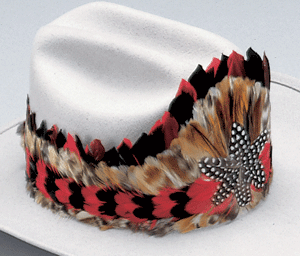 Feather hatband w/ star