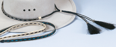 Horsehair w/Long Tail