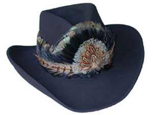 Black & Blue Feather