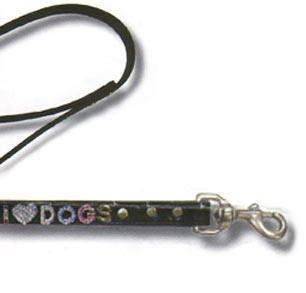 Pretty dog leash