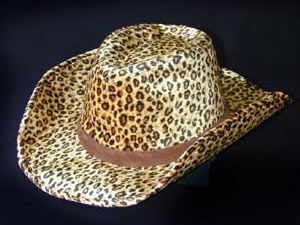 Cheetah Western