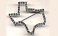 Texas pin