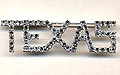 Texas pin