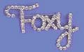 "Foxy" Brooch