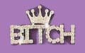 "Bitch" Brooch