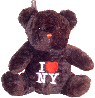 I Love NY Black Bear