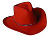 Wool Felt Western