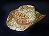 Cheetah Western
