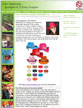 Click to Enlarge!